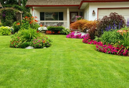 Fertilization Mistakes Stoughton Homeowners Make (And How We Fix Them)