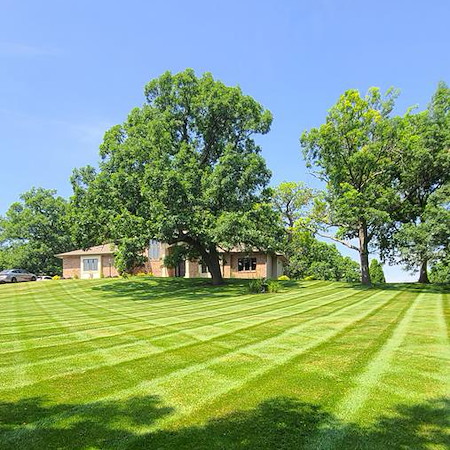 Overseeding or Reseeding? Choosing the Best Fix for a Thin Lawn